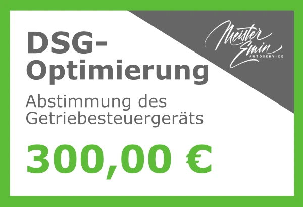 optimierung_dsg_Abstimmung_des_Getriebesteuergeräts_meister emin_Sundern_sauerland